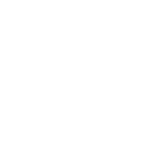Vision Icon